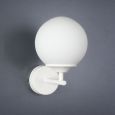 Wall Sconce Frost