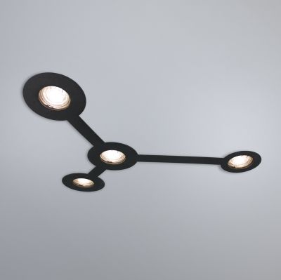 Spotlight Nerdy black