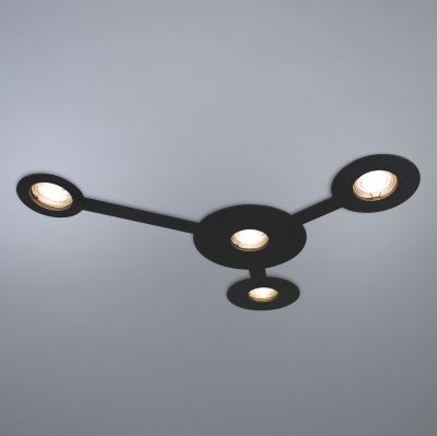 Spotlight Nerdy black