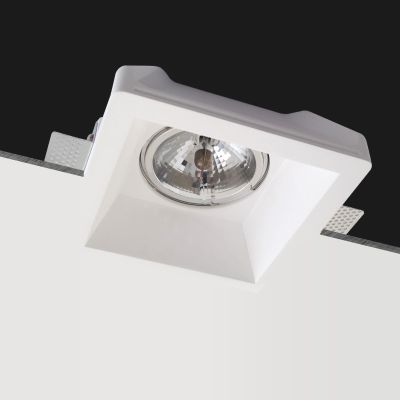 Spotlight Elliott white