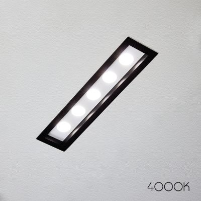 Spotlight Express black / white