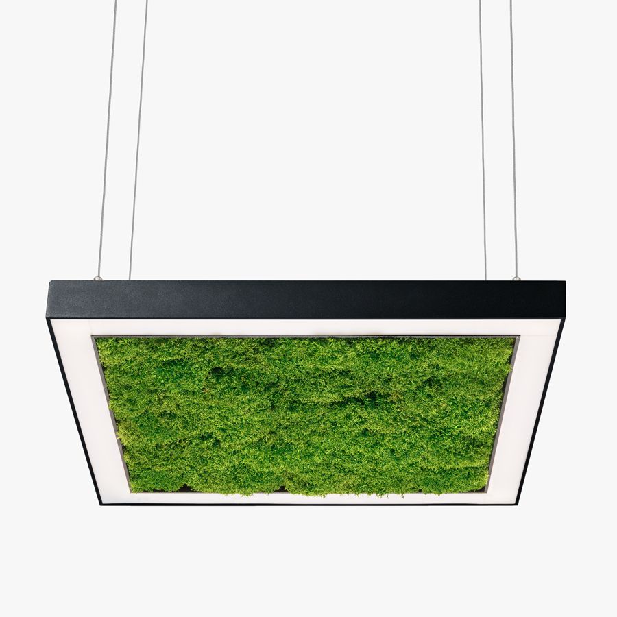 Люстра Ander with Flat Moss чорний / lime