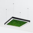 Люстра Ander with Flat Moss