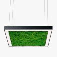 Suspension lamp Ander with Reindeer Moss