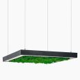 Suspension lamp Ander with Reindeer Moss