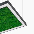 Suspension lamp Ander with Reindeer Moss