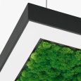 Suspension lamp Ander with Reindeer Moss