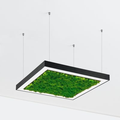 Suspension lamp Ander with Reindeer Moss black