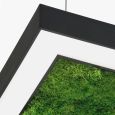 Люстра Ander with Flat Moss