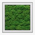 Люстра Ander with Flat Moss