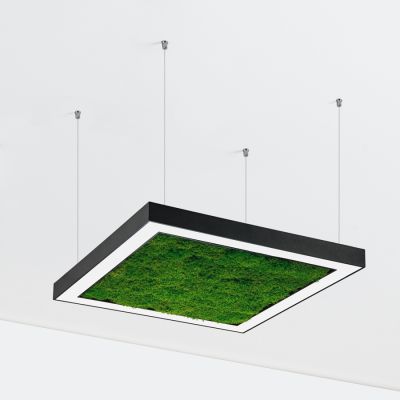 Люстра Ander with Flat Moss чёрный