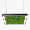 Люстра Ander with Flat Moss