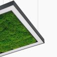 Люстра Ander with Flat Moss