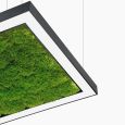 Люстра Ander with Flat Moss