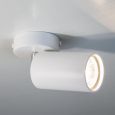 Spotlight Accent