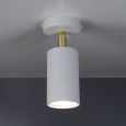 Spotlight Accent