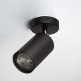 Spotlight Accent