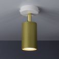 Spotlight Accent
