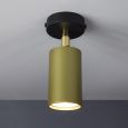 Spotlight Accent