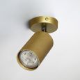 Spotlight Accent