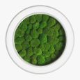 Люстра Wheel with Bun Moss