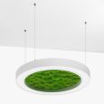 Люстра Wheel with Bun Moss