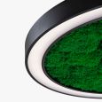Люстра Wheel with Flat Moss