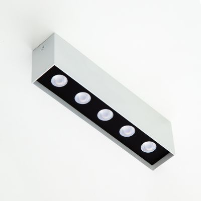 Ceiling lamp Express Imperium Light 662520.01.05.92 white / black