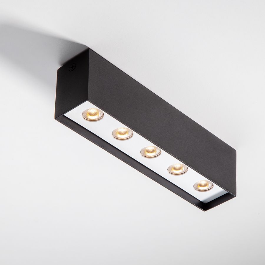 Ceiling lamp Express Imperium Light 662520.05.01.93 black / white