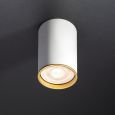 Spotlight Accent Multi