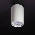 Spotlight Accent
