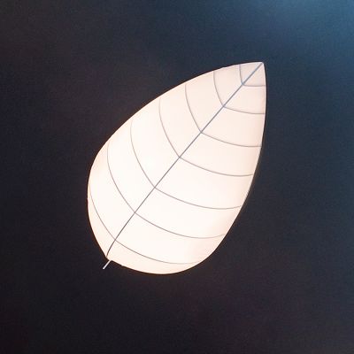 Светильник потолочный Leaf