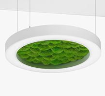 Люстра Wheel with Moss білий