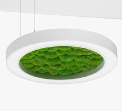 Люстра Wheel with Moss