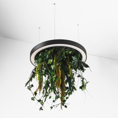 Suspension lamp Wheel with Pants black