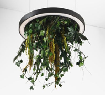 Люстра Wheel with Pants