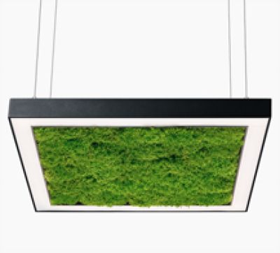 Люстра Ander with Flat Moss