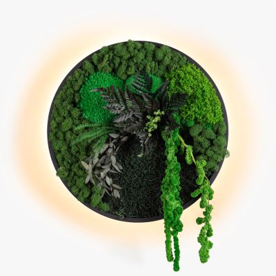 Kinkiety Jace Garden Imperium Light czarny / wielobarwność
