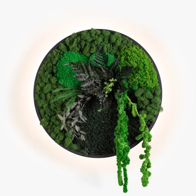 Kinkiety Jace Garden Imperium Light czarny / wielobarwność