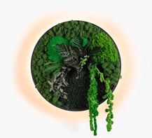Kinkiety Jace Garden Imperium Light czarny / wielobarwność