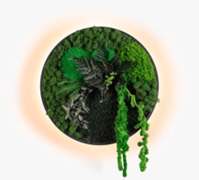 Kinkiety Jace Garden