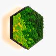 Wall Sconce Felizeli Reindeer Moss