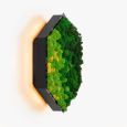 Wall Sconce Felizeli Reindeer Moss