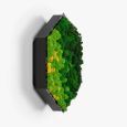 Wall Sconce Felizeli Reindeer Moss