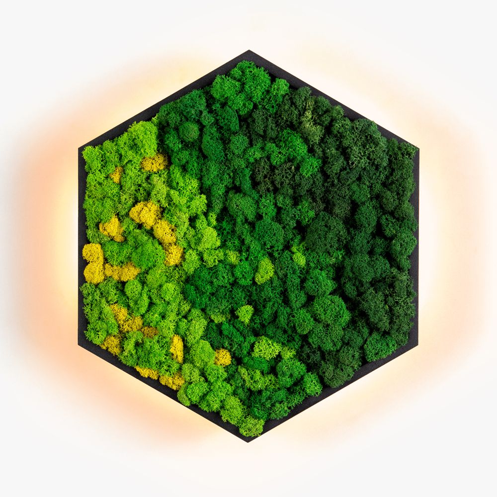 Бра Felizeli Reindeer Moss Imperium Light чёрный / мультиколор