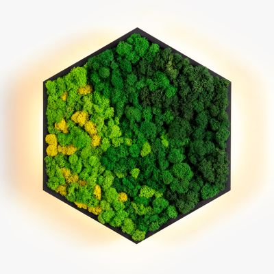 Бра Felizeli Reindeer Moss Imperium Light чёрный / мультиколор