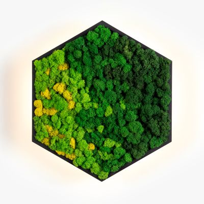 Бра Felizeli Reindeer Moss Imperium Light чёрный / мультиколор