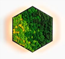 Kinkiety Felizeli Reindeer Moss Imperium Light czarny / wielobarwność