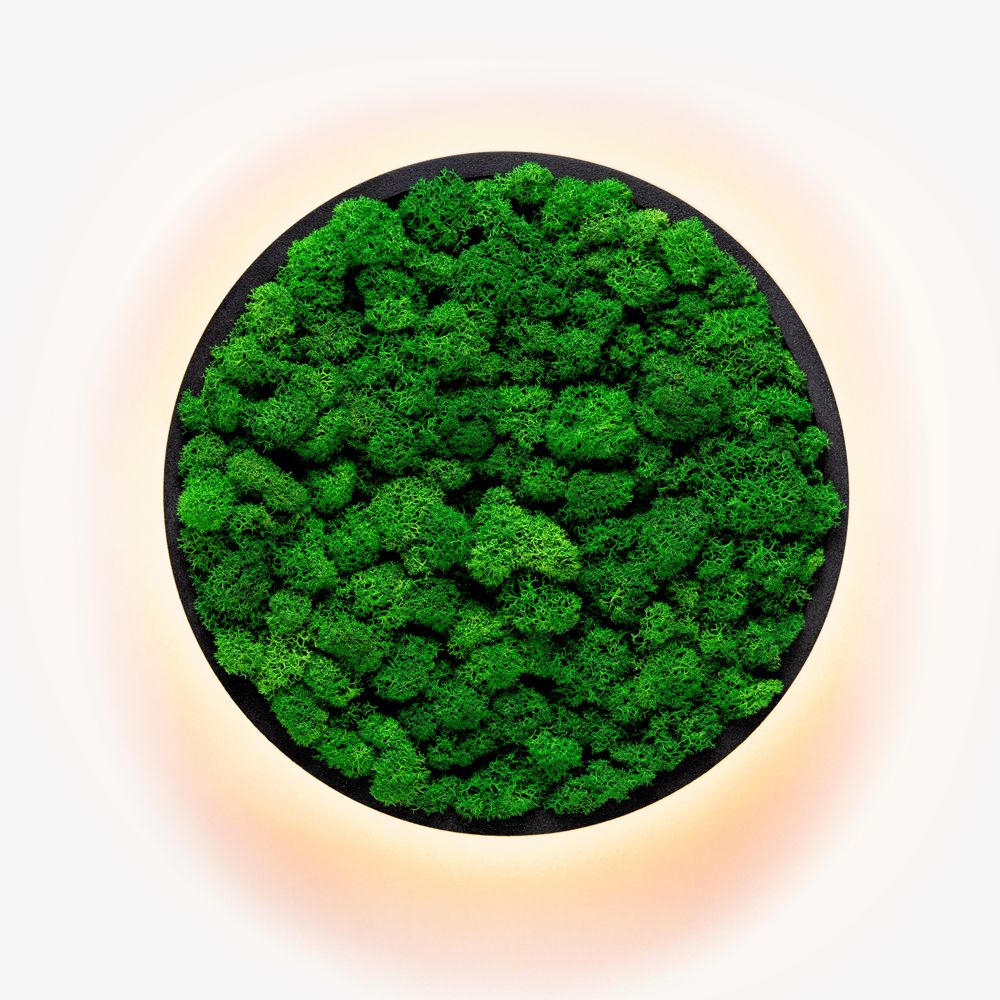 Kinkiety Jace Reindeer Moss Imperium Light czarny / nature
