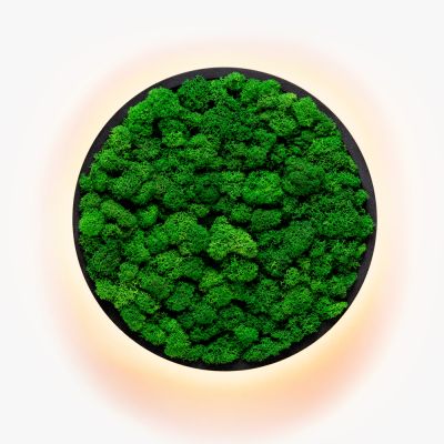 Kinkiety Jace Reindeer Moss Imperium Light czarny / nature